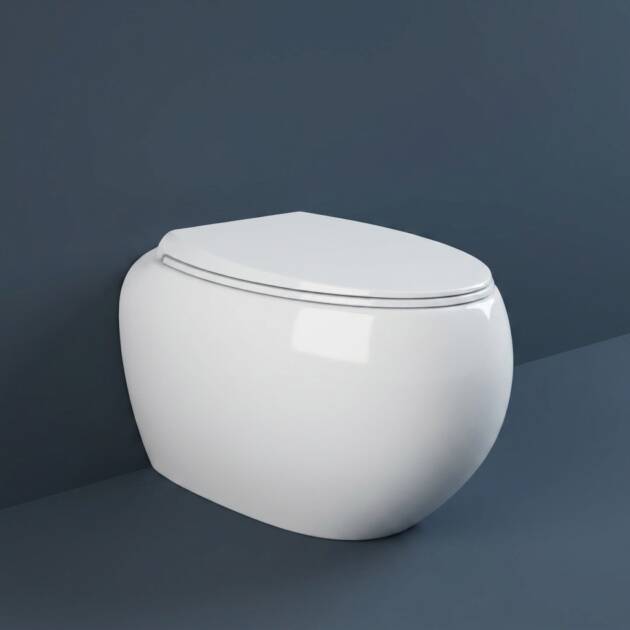 RAK Cloud Rimless BTW Water Closet (56CM) Matt