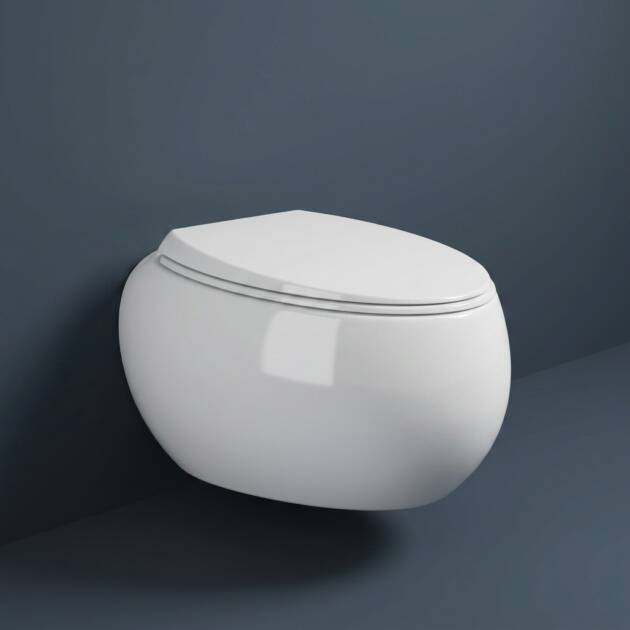 RAK Cloud Rimless Wall Hung Water Closet (56CM) Matt